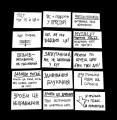 Фото Кради як митець 16