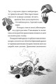 Фото Хлопчик, який співав з драконами 3