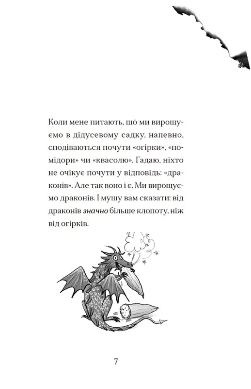 Hidden Product Image 8