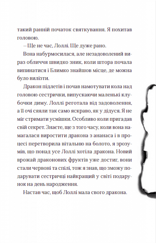 Hidden Product Image 10