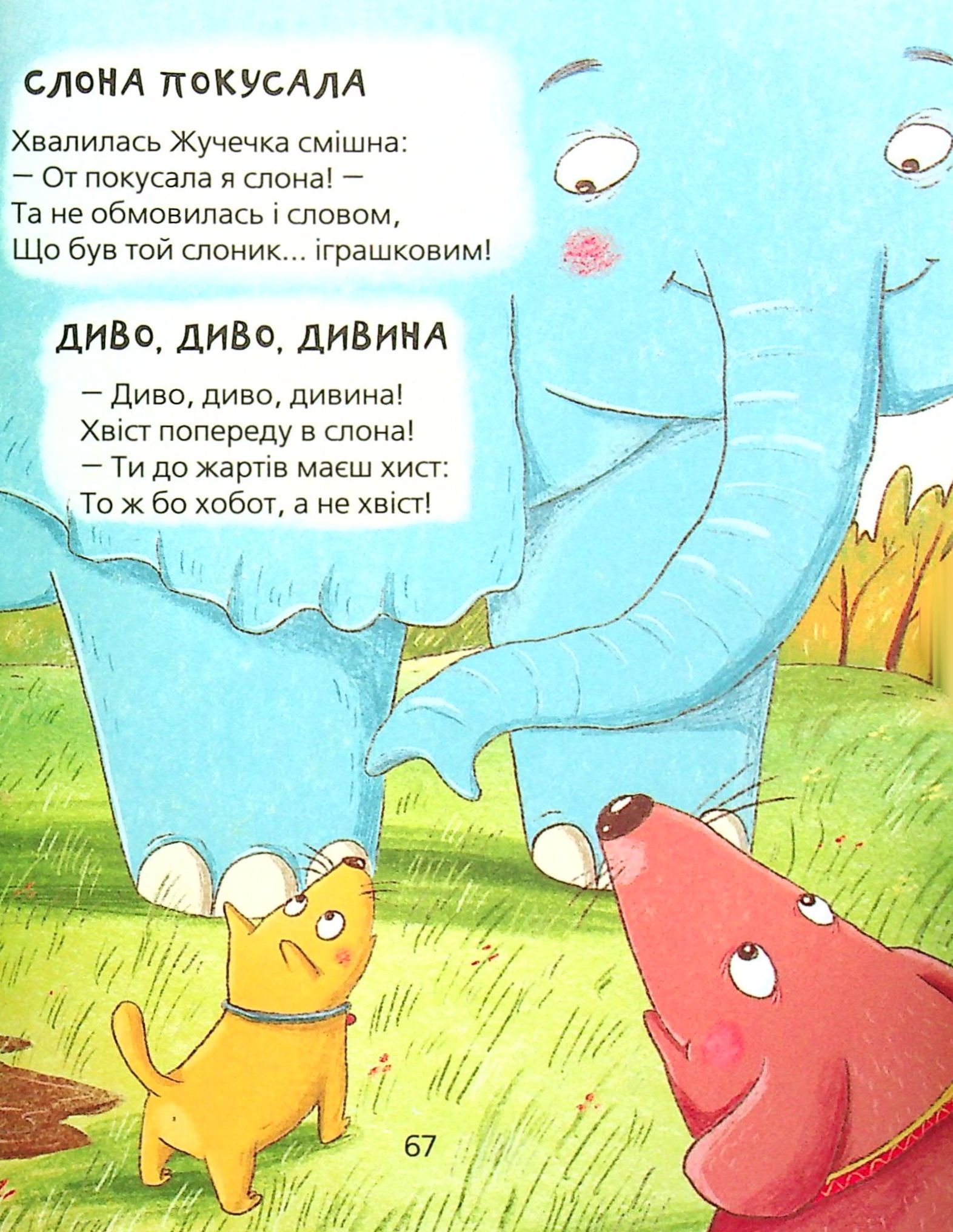 Hidden Product Image 12