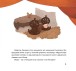 Фото Ашик Омер 4