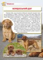 Фото Енциклопедія. Собаки 2