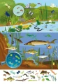Фото Книга-картонка Великий віммельбух. Мікросвіт 6