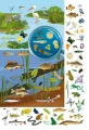 Фото Книга-картонка Великий віммельбух. Мікросвіт 7
