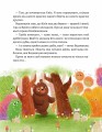 Фото Ведмежуня мандрує в Карпати 8