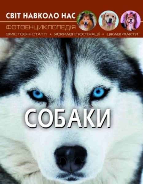 Фото Світ навколо нас. Собаки