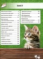 Фото Світ навколо нас. Кішки 2