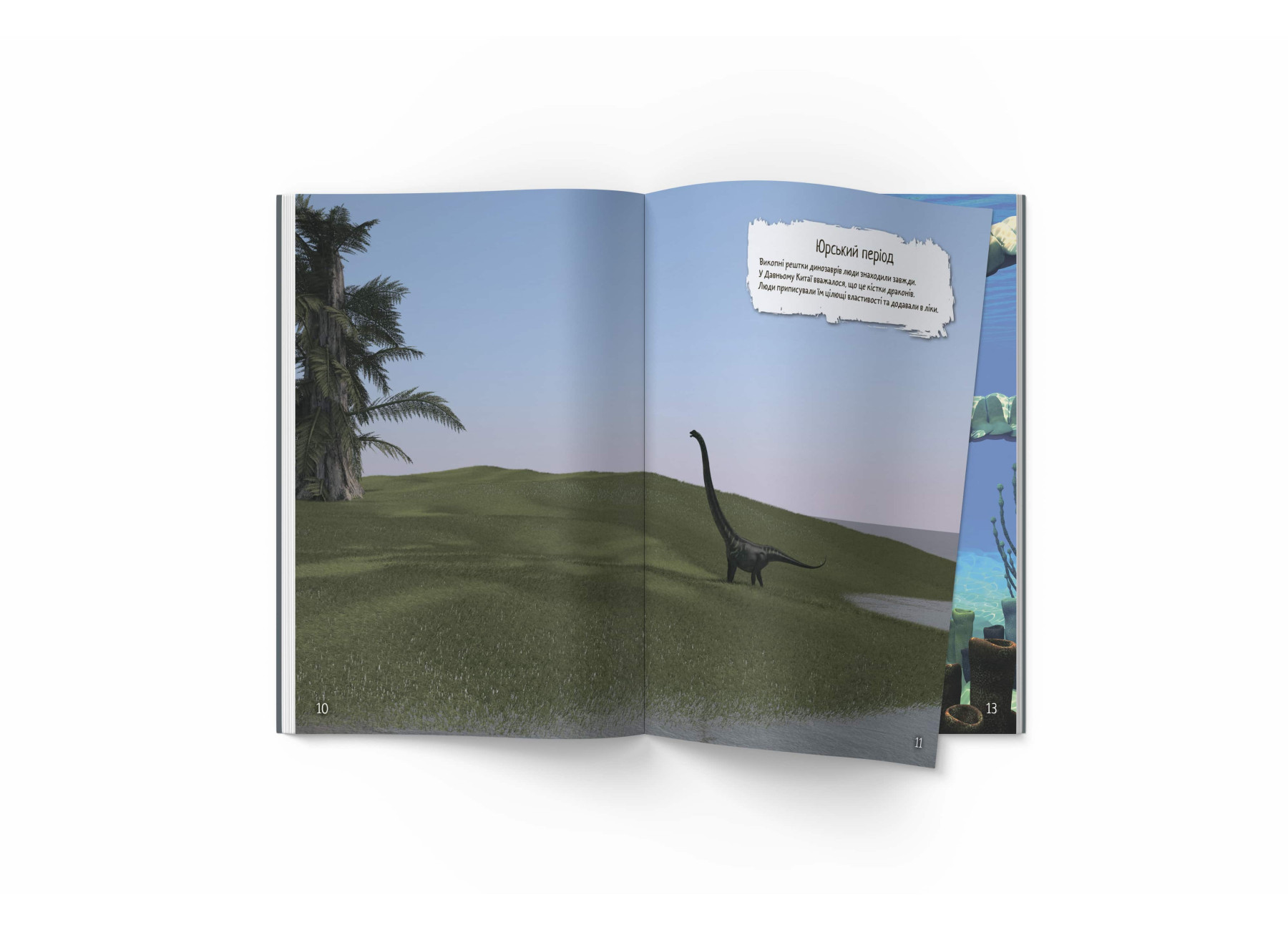 Hidden Product Image 8