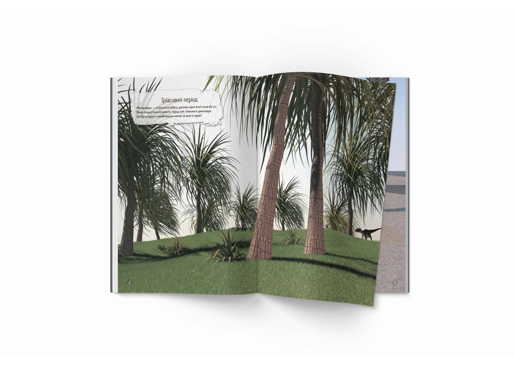 Hidden Product Image 9