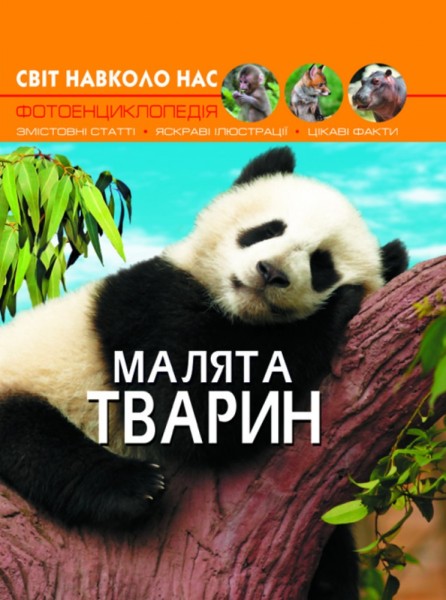Фото Світ навколо нас. Малята тварин