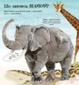 Фото Велика книга тварин 4