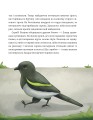 Фото Майстерня чаклуна Мурахи 5
