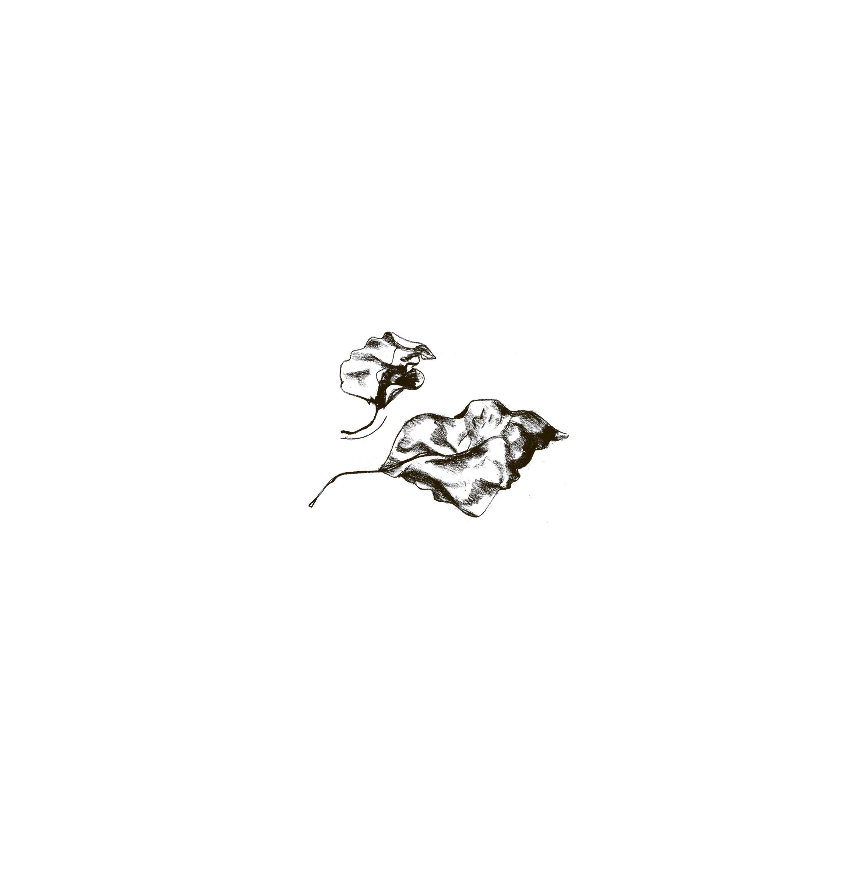 Hidden Product Image 6