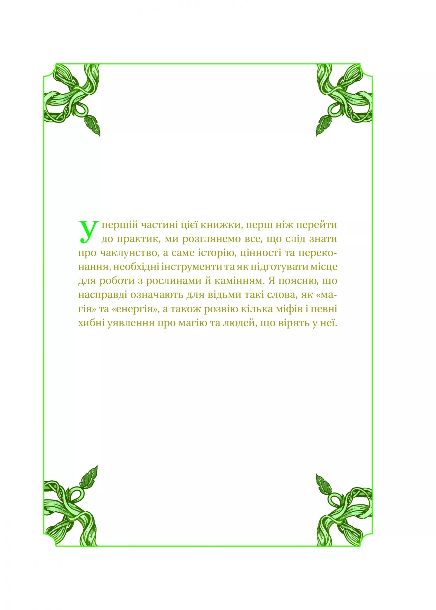 Hidden Product Image 8