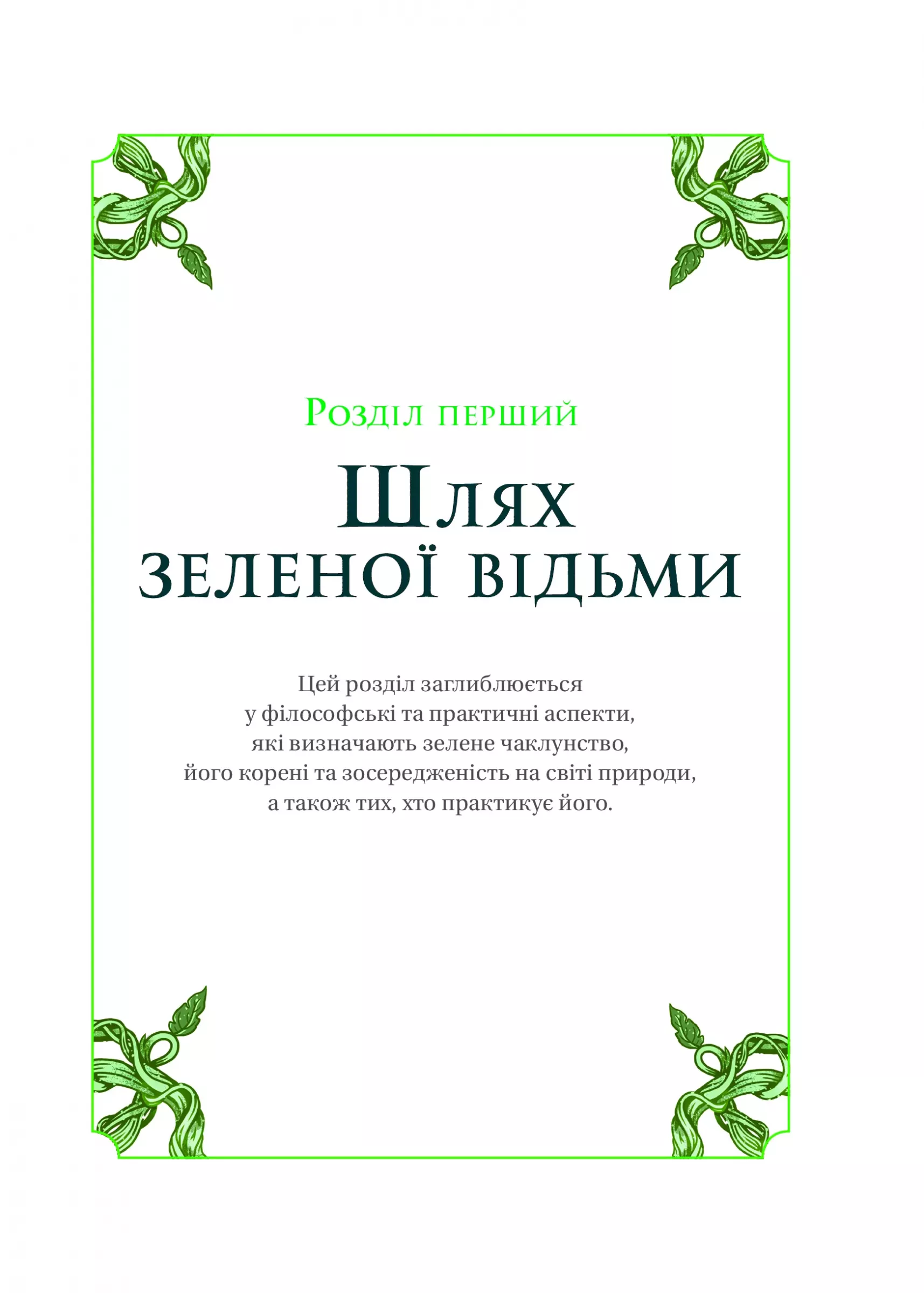 Hidden Product Image 10