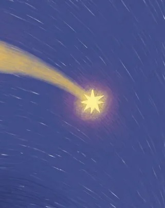Hidden Product Image 11