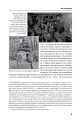 Фото Йшла дивізія... Книга 2 9