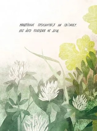 Hidden Product Image 9