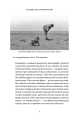 Фото Поглянь, що ти пропустив 5