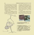 Фото Українські палаци. Відновлення історії. Золота доба 11