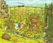 Фото Прогулянка з собакою 4