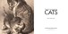 Фото The British Museum Book of Cats 2