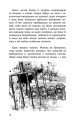 Фото Пригоди Містера Кроса. Неймовірна подорож собаки-мандрівника 7