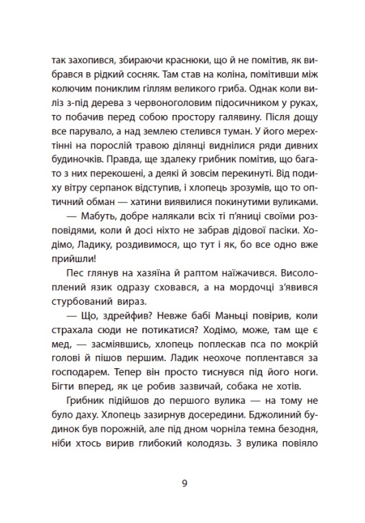 Hidden Product Image 13