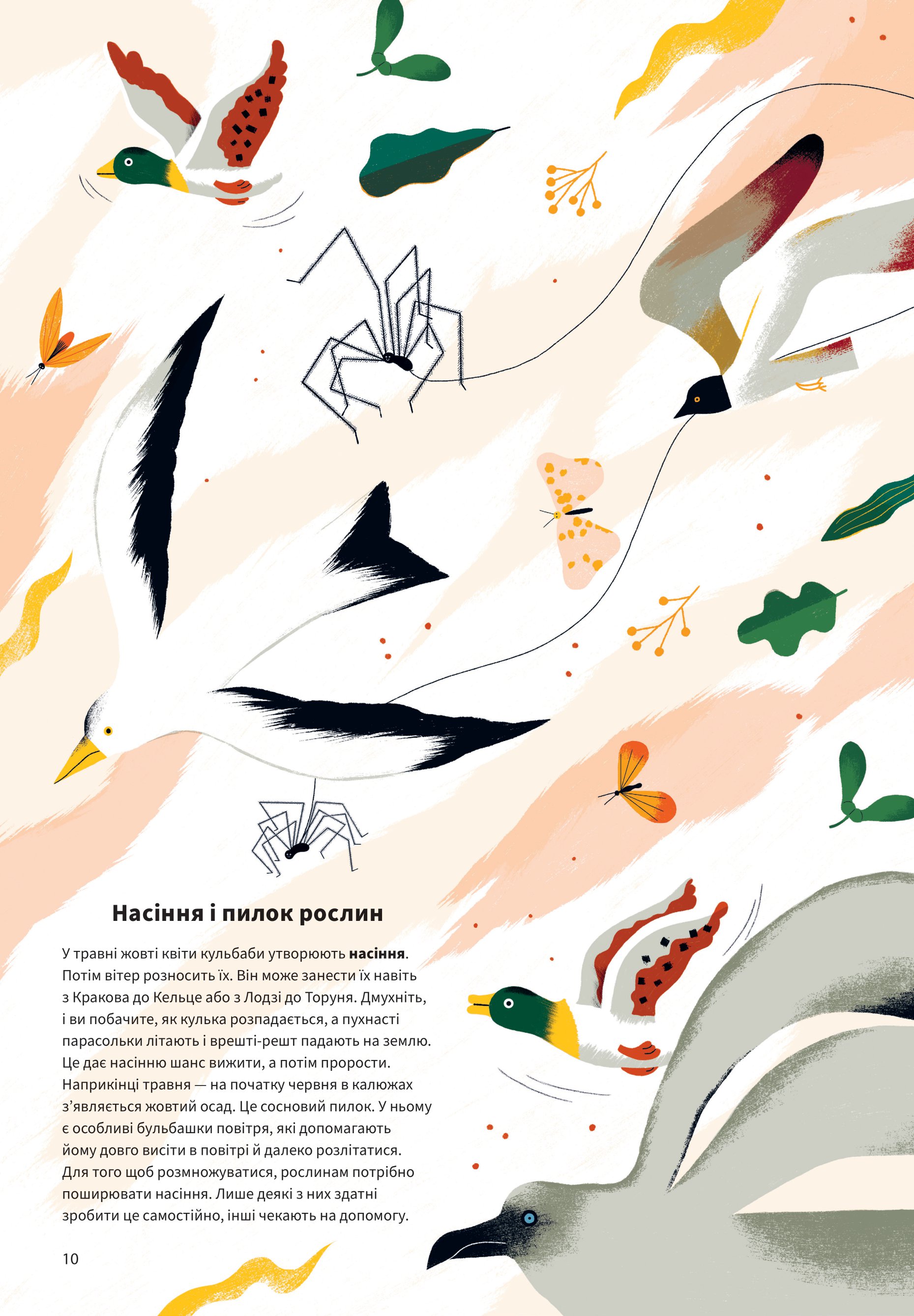 Hidden Product Image 10