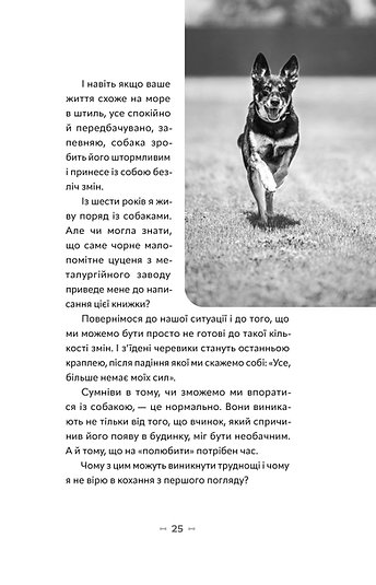 Hidden Product Image 13