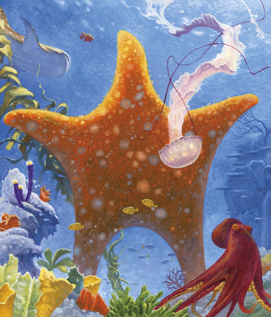 Hidden Product Image 8