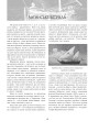 Фото На чорноморській хвилі. 33 століття копаного моря 12