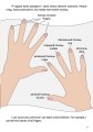 Фото Моє тіло. My body 7