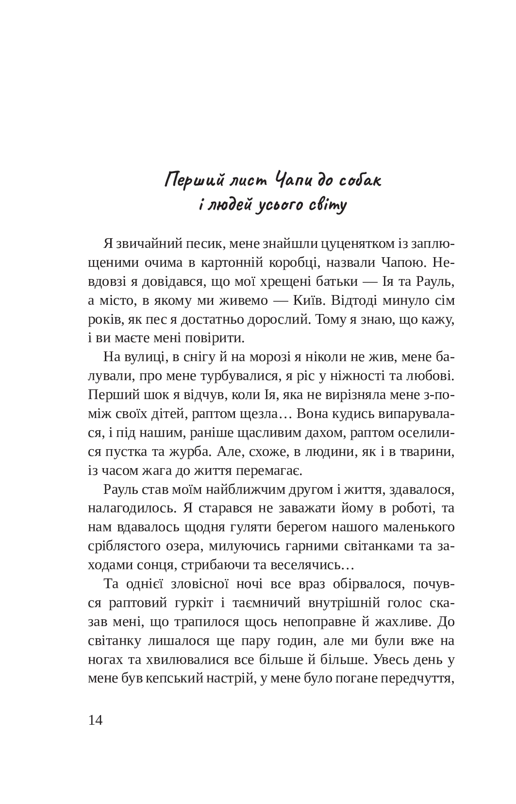 Hidden Product Image 12