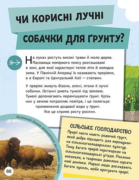 Hidden Product Image 13