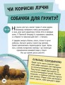 Фото Енциклопедія юних розумників 13