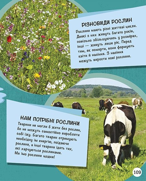 Hidden Product Image 18