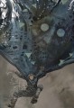 Фото З-імли-народжені 5
