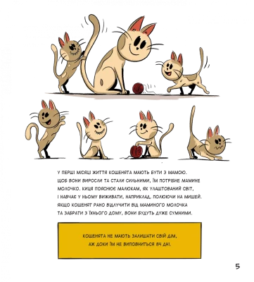 Коти чудові, але...