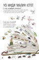 Фото Велика книга малих істот 7