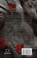 Фото Плоть і вогонь. Книга 1. Тінь у жариві 2