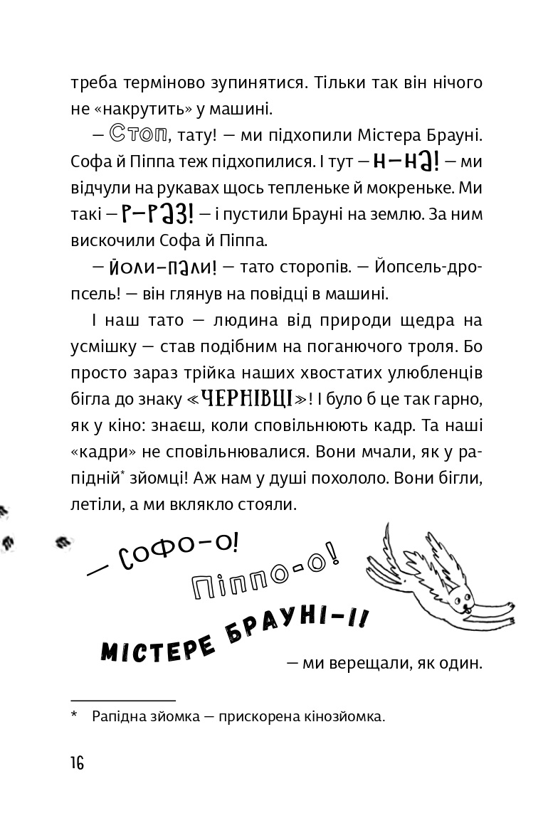 Hidden Product Image 16
