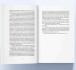 Фото Небесний ідол. Книга 1. Злодій 4