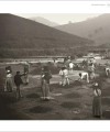 Фото Migrations: A History of Where We All Come From 23