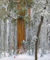 Фото Natural Wonders of the World 11