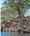 Фото Natural Wonders of the World 13