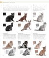 Фото The Cat Encyclopedia 4