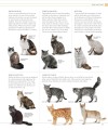 Фото The Cat Encyclopedia 5