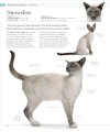 Фото The Cat Encyclopedia 10